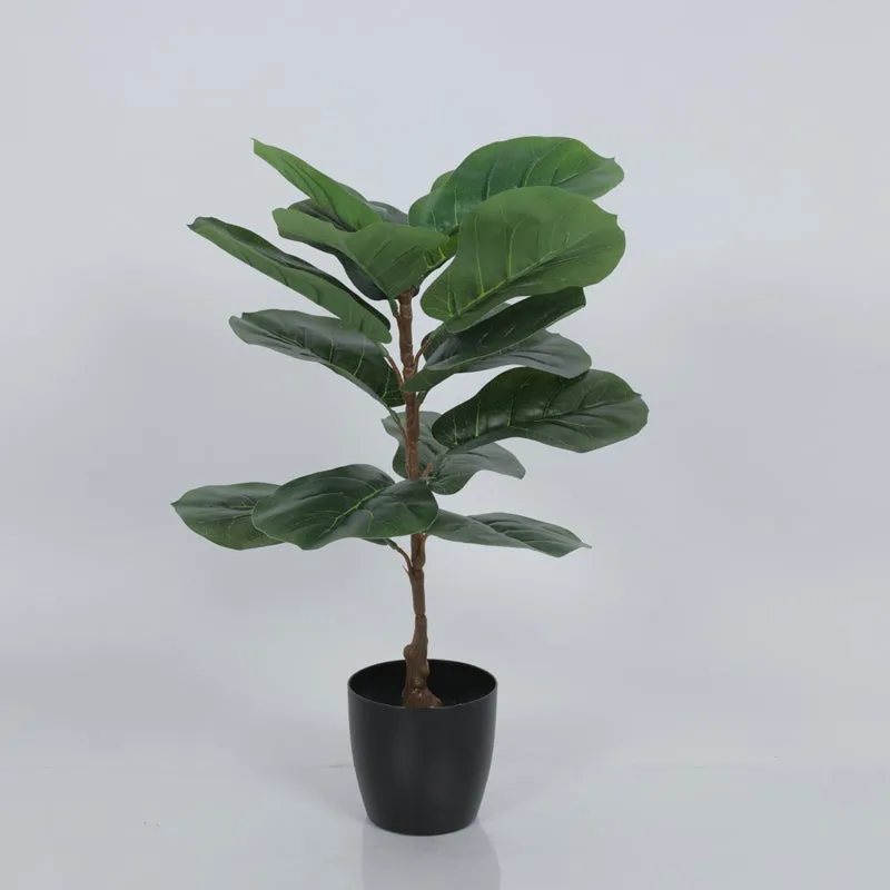 Leafique Artificial Fiddle Leaf Plant With Black Fiber Pot - 1.4 Feet media 6
