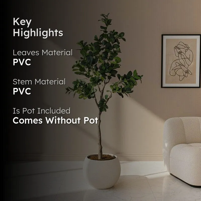 Artificial Peperomia Plant Without Pot - 5.9 Feet media 2