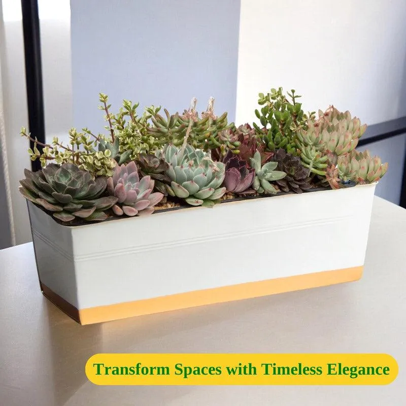 Zutoia Black Planter - Grey media 7