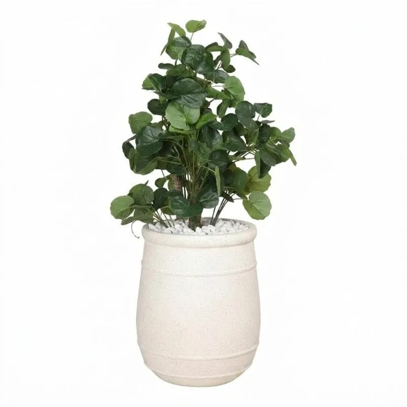 Off-white planter displayed with a leafy plant against a white background