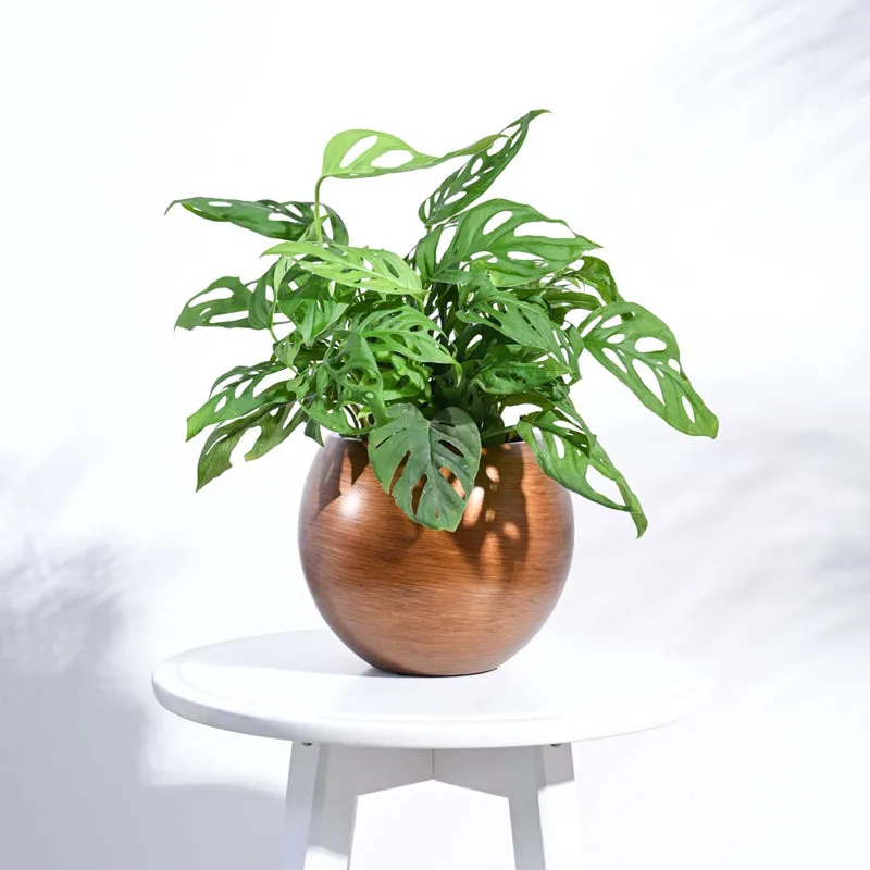 UGAOO Planter Vase Ball Retro- Gold media 3