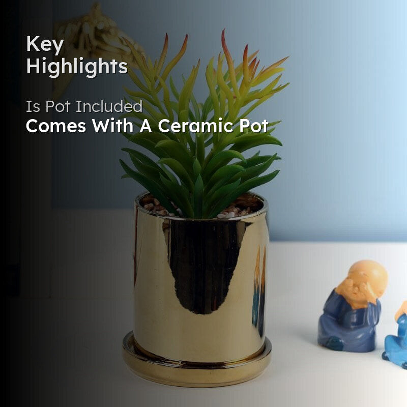 Faux Euphorbia In Pot With Coaster - 20 cms media 2