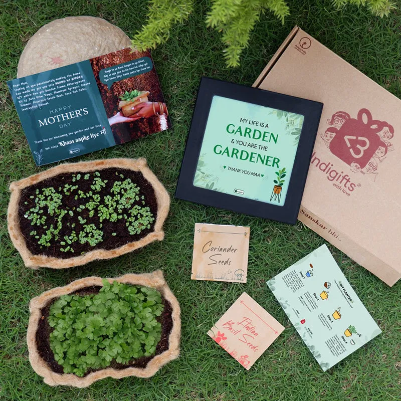 Garden Stater Gift Box media 1