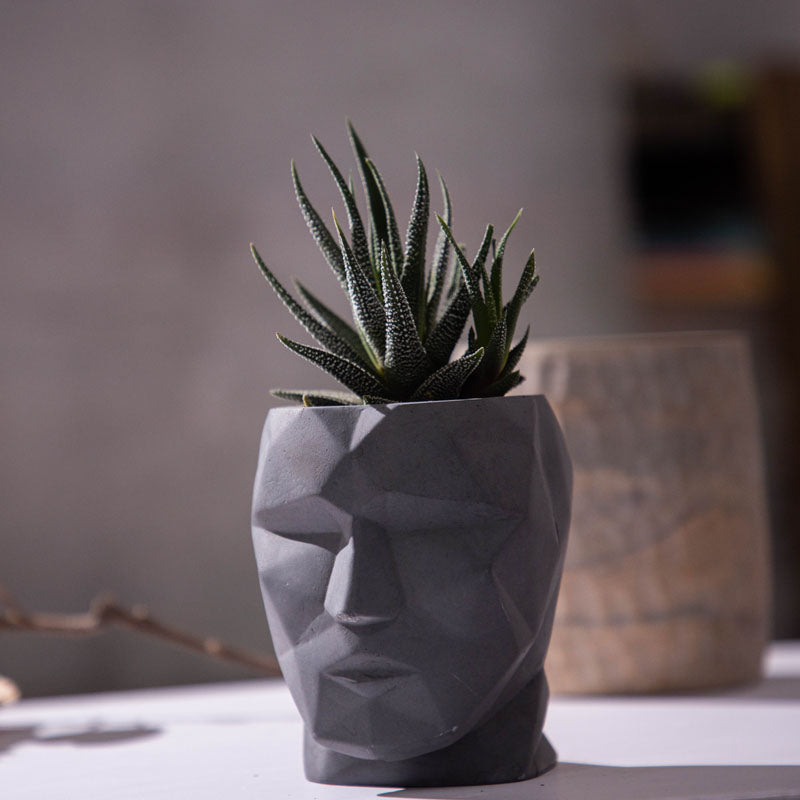 Maxo Face Planter media 2