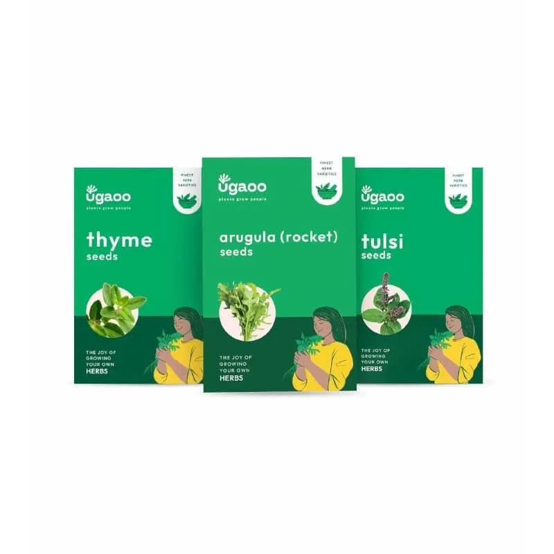 Ugaoo Herb Seeds (Arugula, Thyme, Tulsi) - Set Of Three media 3