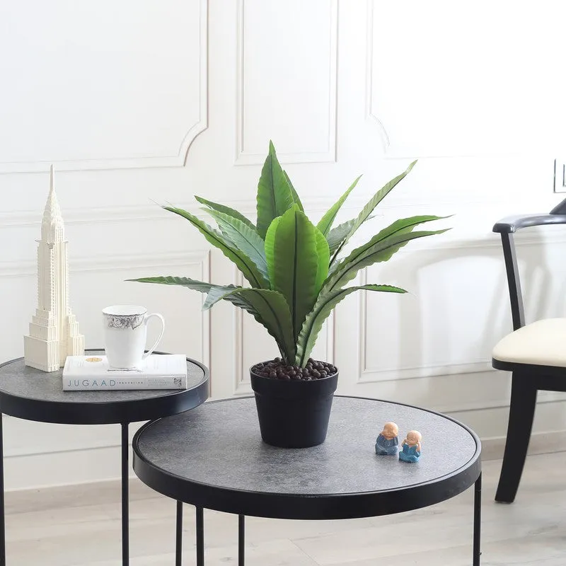 Evergree Touch Artificial Plant With Black Plastic Pot - 1.6 ft media 4