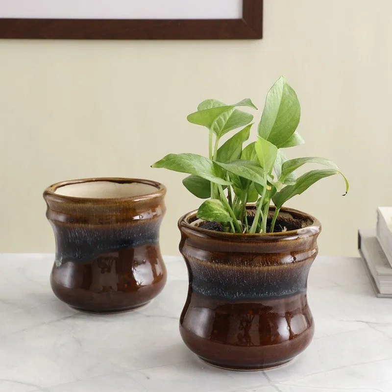 VelourVista Pots Brown - Set Of Two media 3