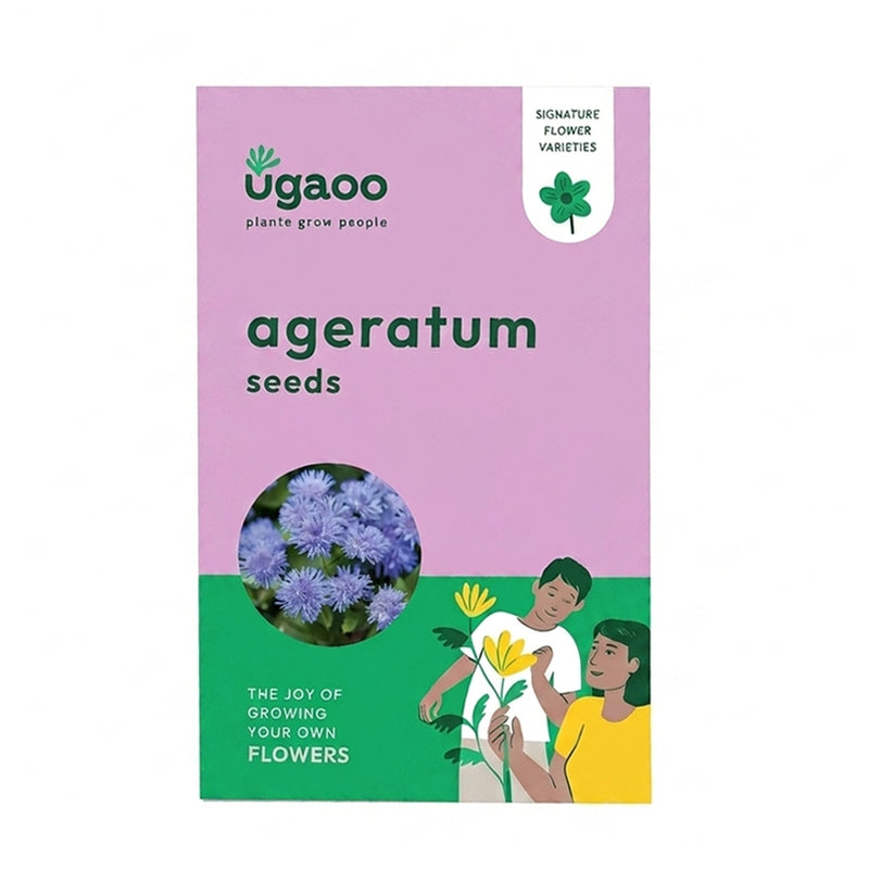 Ugaoo Ageratum Seeds (200 Seeds) media 5
