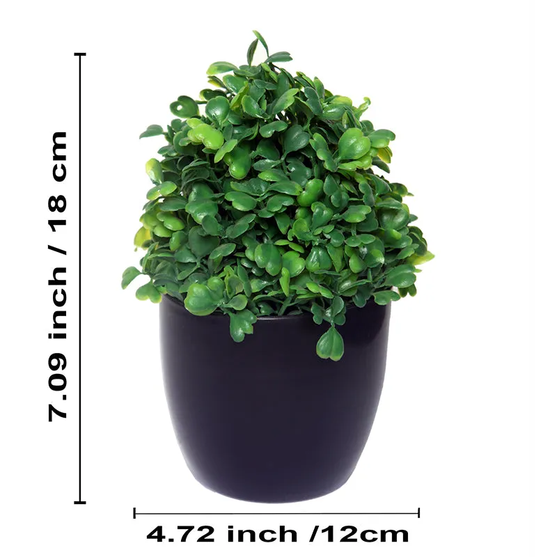 Faux Sherry Plant With Black Plastic Pot - Set Of Three media 2