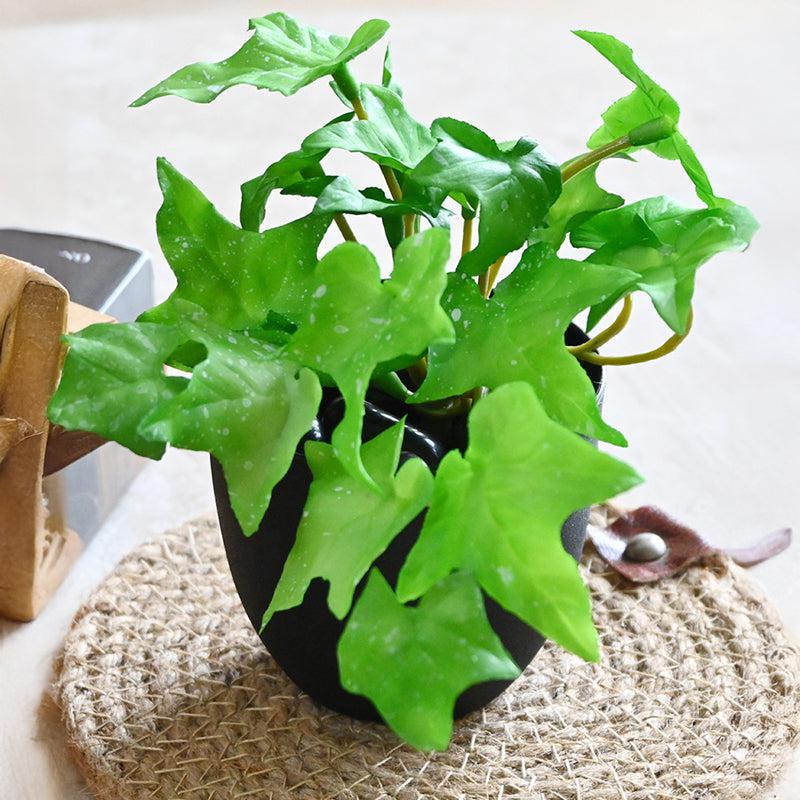 Ivella Artificial Mini Ivy Plant With Basic Black Plastic Pot (Light Green) - 14 cm media 8