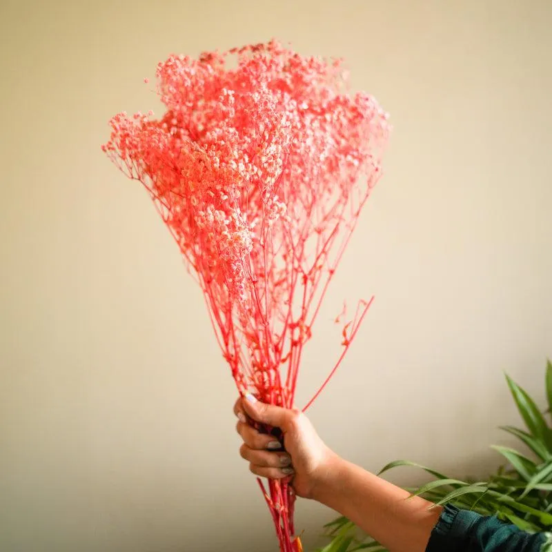 Dried Baby's Breath Gypsophila Stem (Pink) - Set Of Three media 1