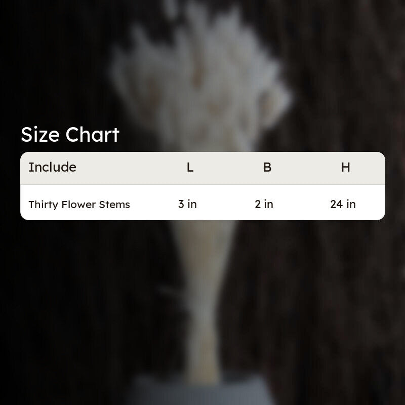Cloudtail Dried Bunny Tail Stem (White) - Set Of Thirty media 6