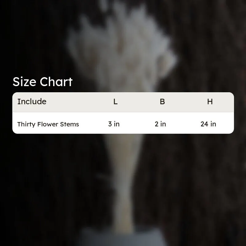 Cloudtail Dried Bunny Tail Stem (White) - Set Of Thirty media 6