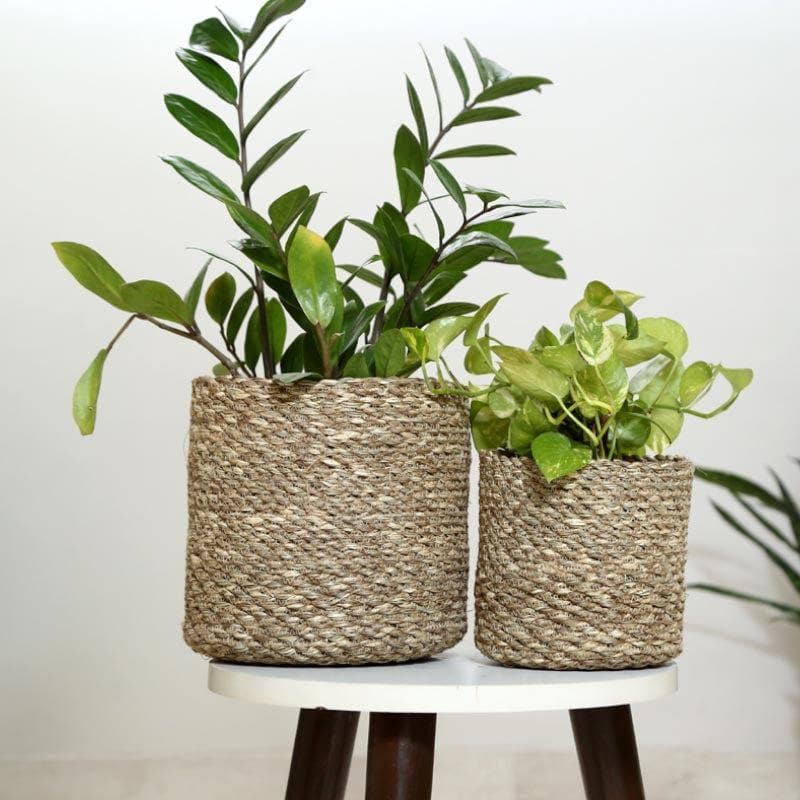 Enchanted Garden Jute Planter media 4