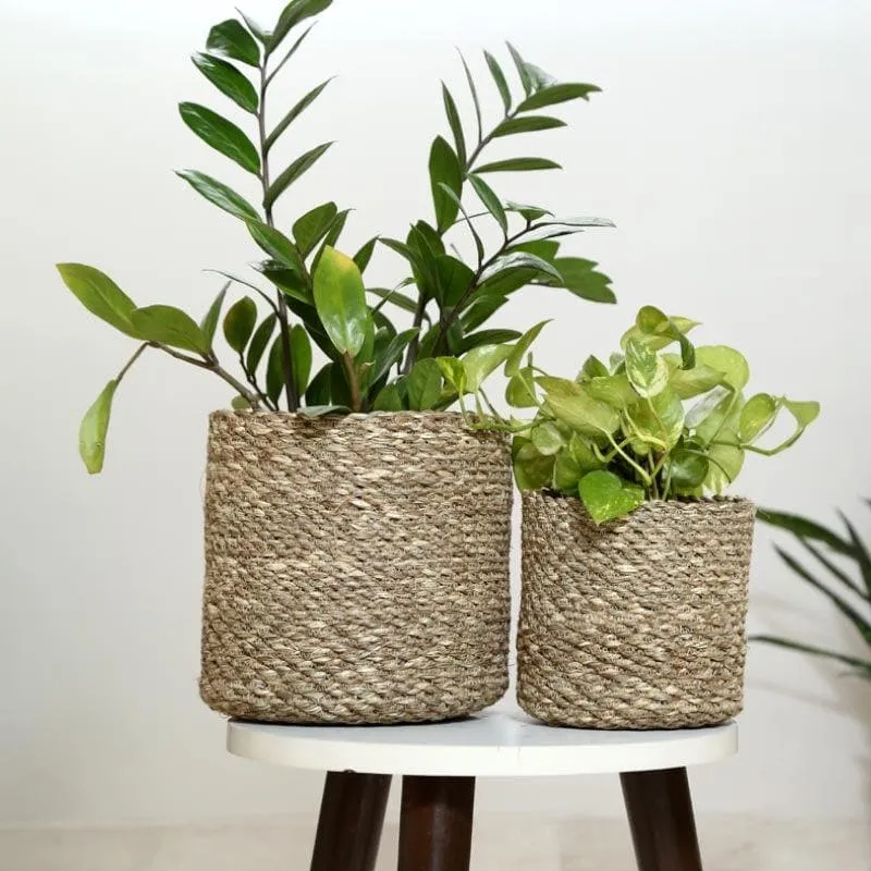 Enchanted Garden Jute Planter media 4