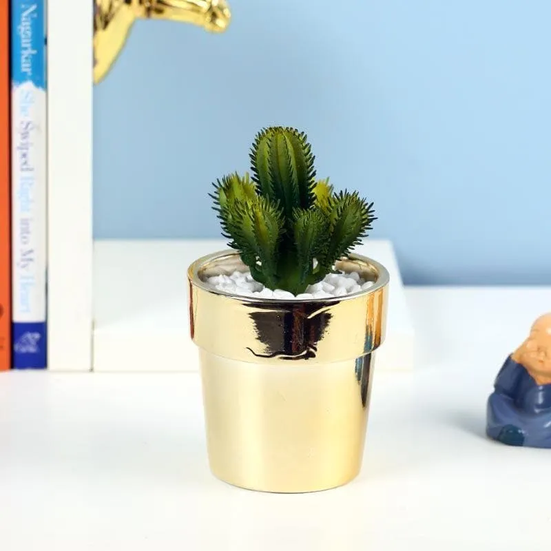 Faux Cacti In Ceramic Pot - 19 cms media 1