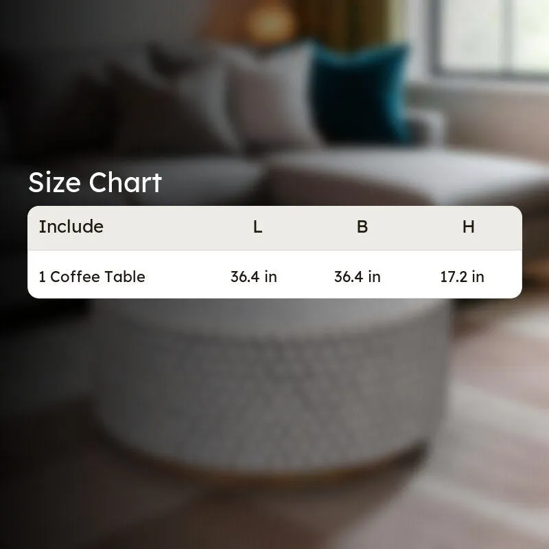 Calixo Bone Inlay Center Table - White media 9