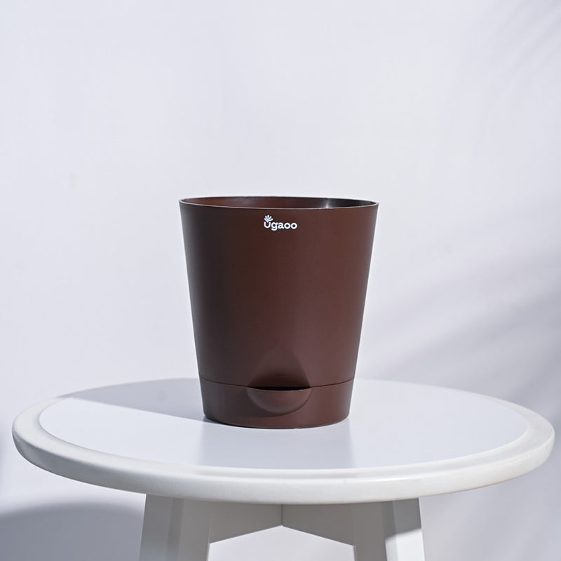 Ugaoo Bare Root Plastic Planter (Multicolor) - Set Of Five media 3
