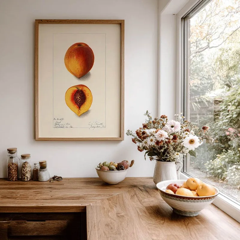 FruitAura Archival Canvas Wall Art - Brown media 7
