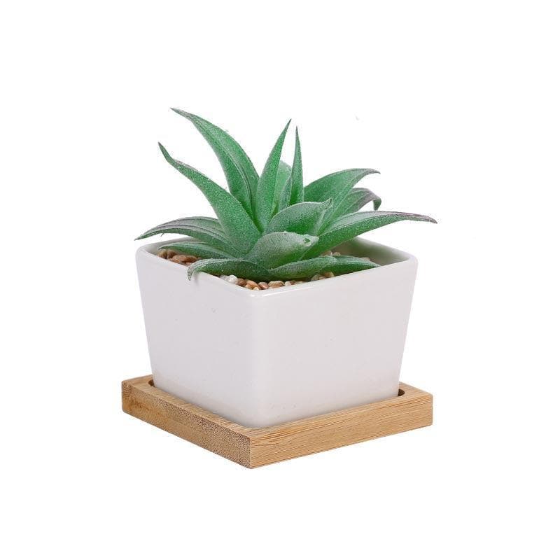 Faux Agave In Square Pot - 9.5 cms media 4