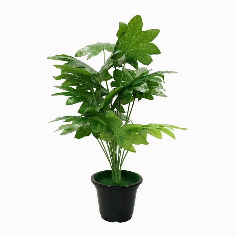 Botanest Artificial Papaya Leaves Plant - 2 Feet media 3