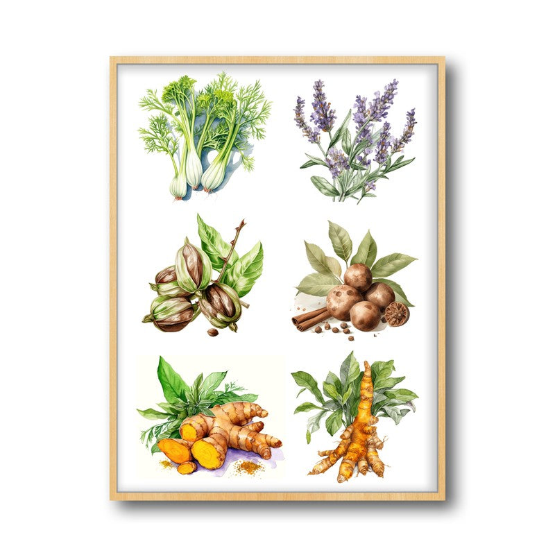 Garden Of Herbs Framed Canvas Archival Canvas Wall Painting - Natural Brown Frame media 4