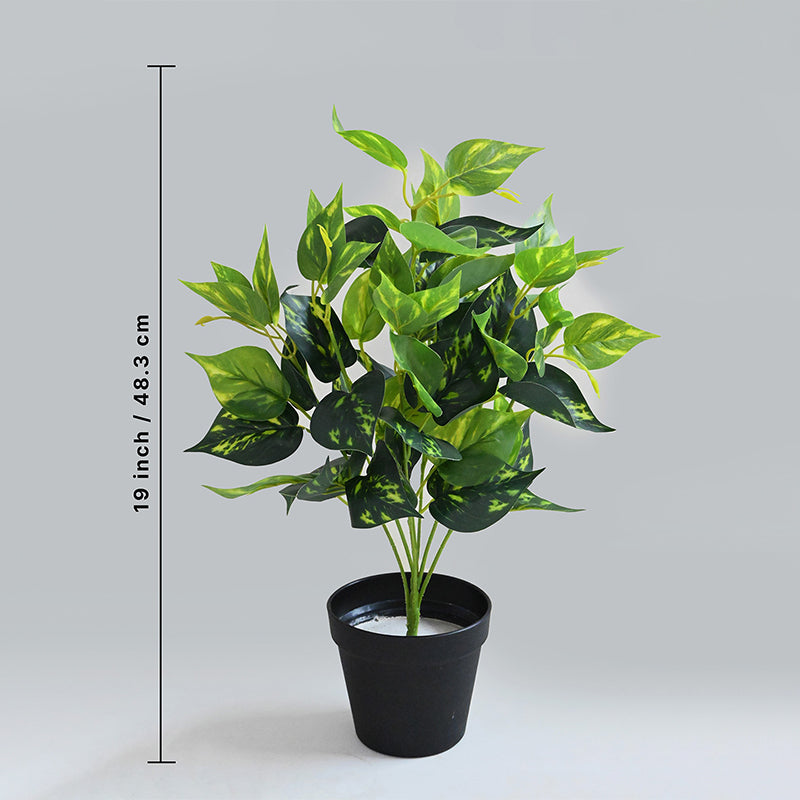 Faux Everlasting Golden Pothos Plant With Black Plastic Pot - 48 cm media 5