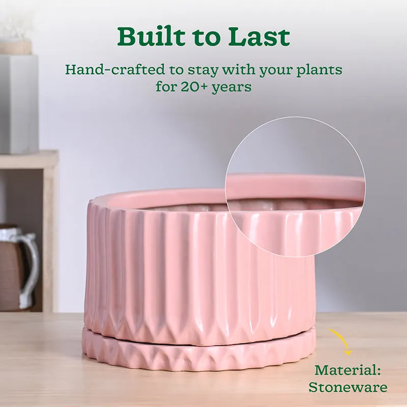 Ugaoo Stria Ceramic Planter - Pink media 4
