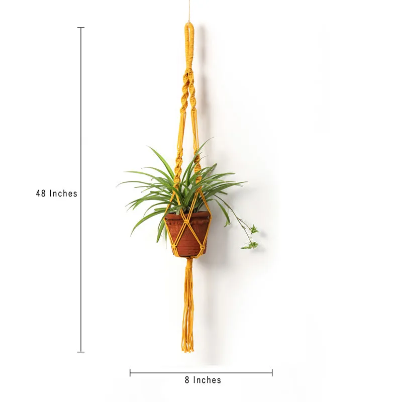 Boheme Botanica Macrame Hanging Planter - Set Of Three media 7