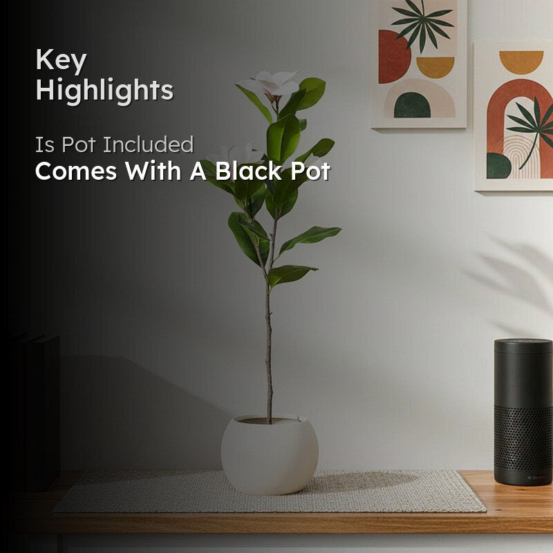 AuraBloom Artificial Mangolia Plant With Black Plastic Pot - 3.4 Feet media 2