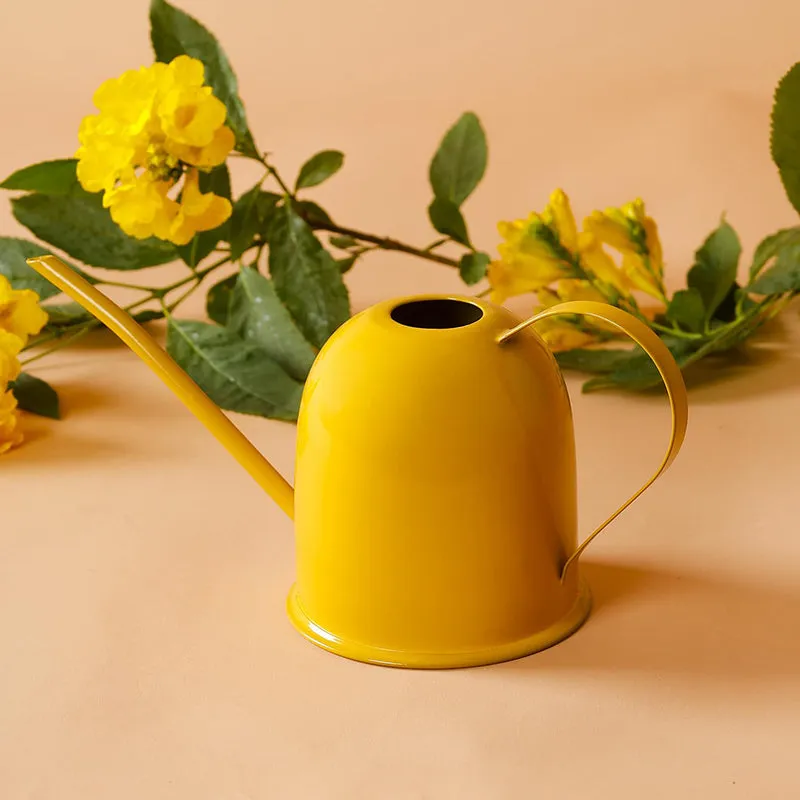 Driv Metal Watering Can media 6