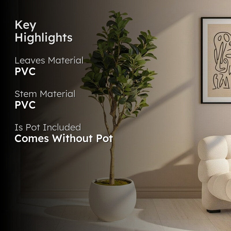 Artificial Peperomia Plant Without Pot - 4.9 Feet media 2