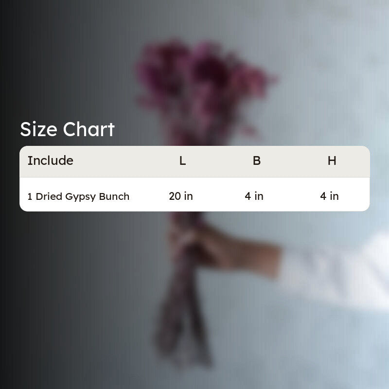 Gypso Glam Dried Flower Bunch - Pink media 6