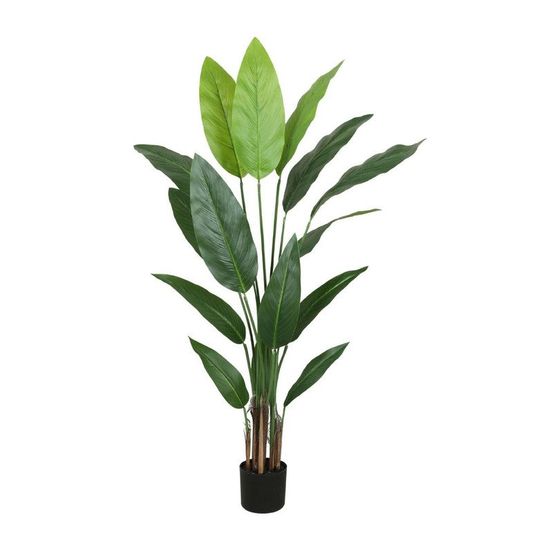 Artificial Strelitzia Plant With Black Fiber Pot - 4.6 Feet media 6