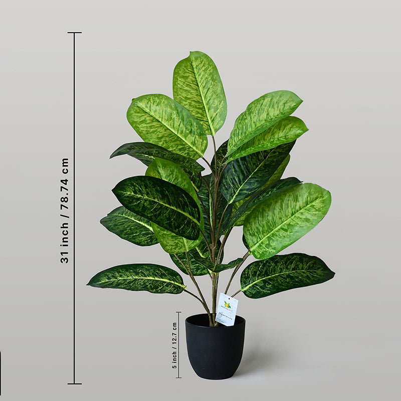 Faux Fiddle Fig Plant With Black Plastic Pot - 79 cm (2.6 ft) media 8