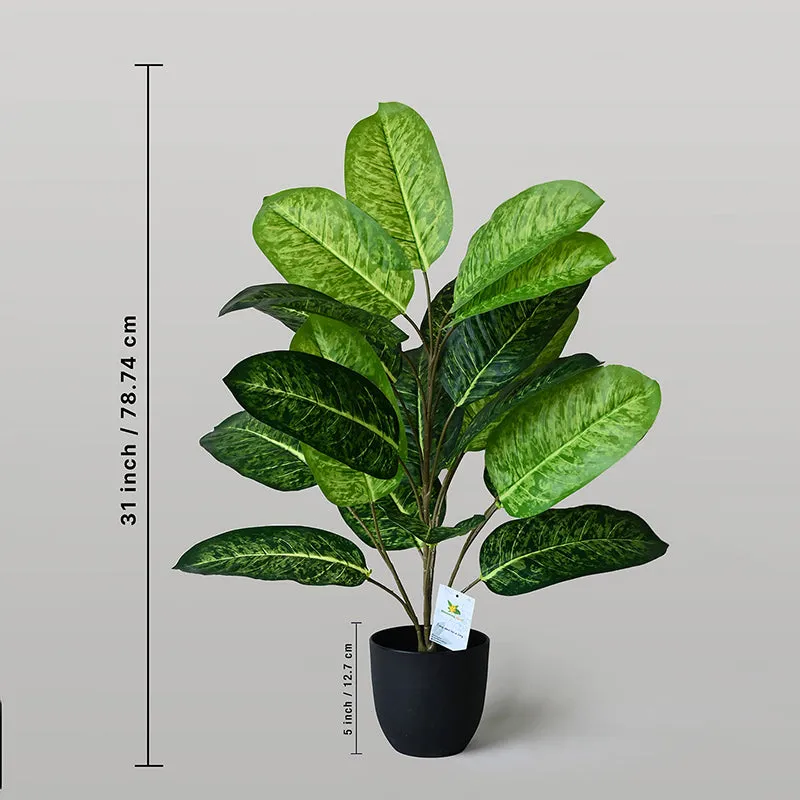 Faux Fiddle Fig Plant With Black Plastic Pot - 79 cm (2.6 ft) media 8