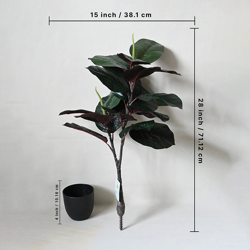 Artificial Everlasting Fiddle Fig Plant With Pot - 71 cm (2.3 ft) media 4