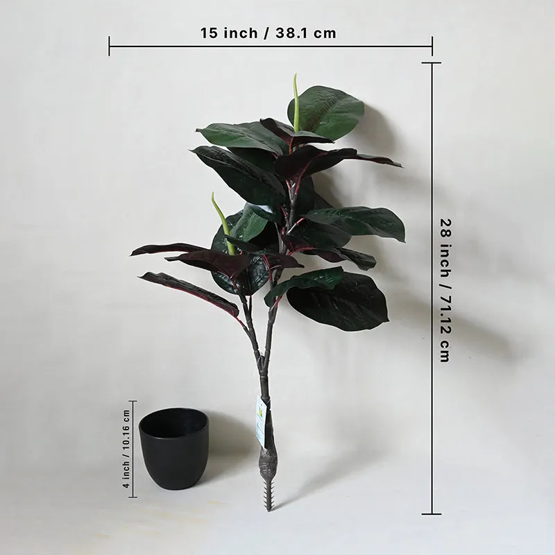 Artificial Everlasting Fiddle Fig Plant With Pot - 71 cm (2.3 ft) media 4