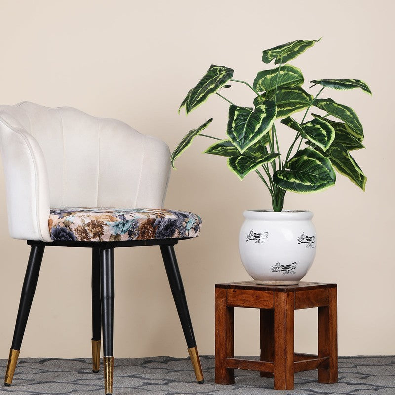 Variegated