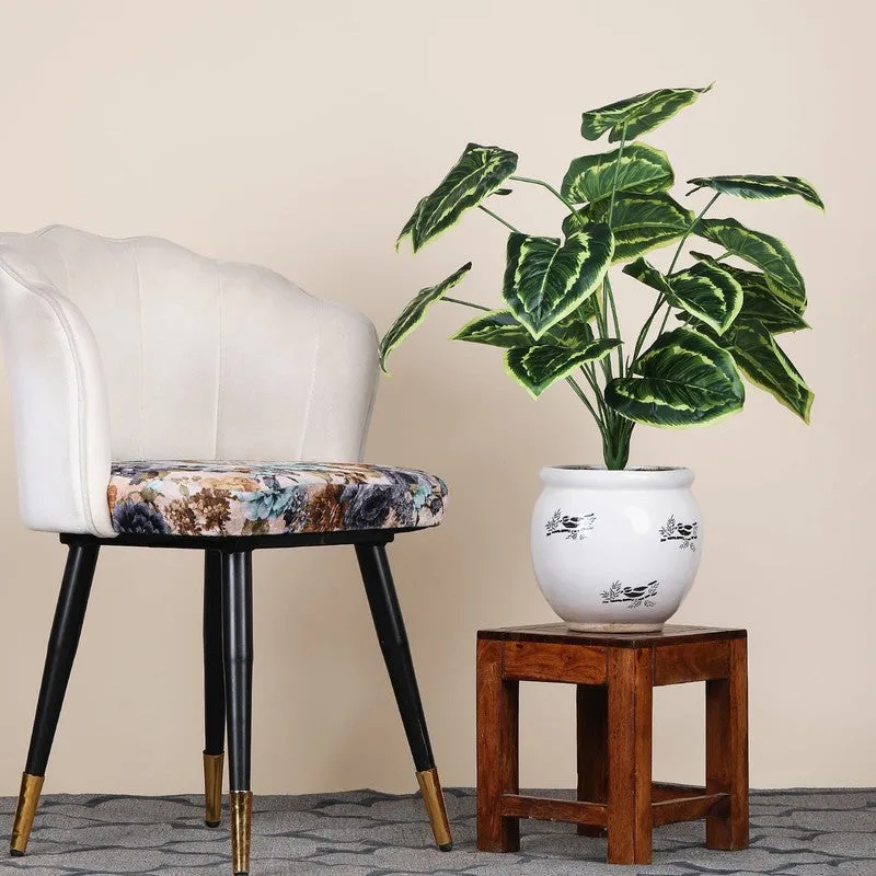 Faux Daisy Money Plant - 2 Feet media 1