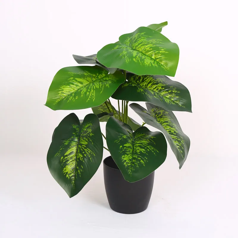 Differa Artificial Dieffenbachia Plant With Black Plastic Pot - Dark Green media 3