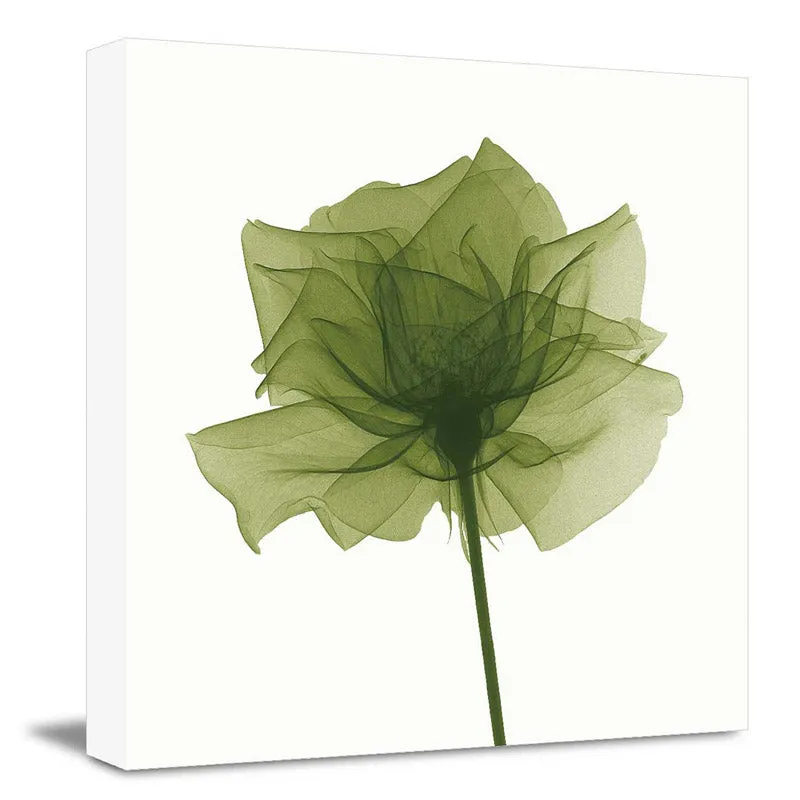 Fletcher Floral Wall Art media 3