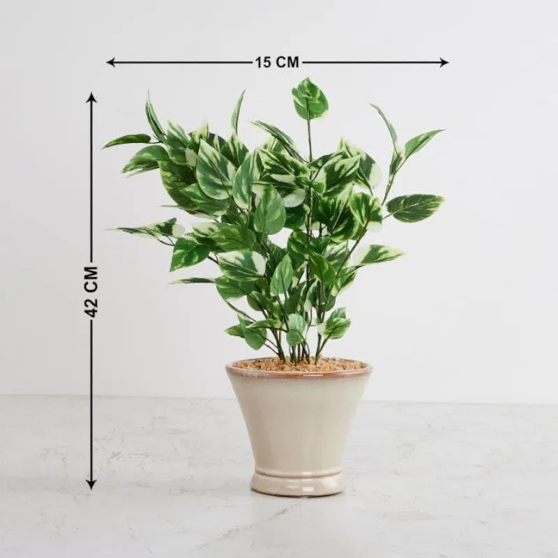 Faux Pothos Bonsai In Cone Pot (42 cms) - Small media 4