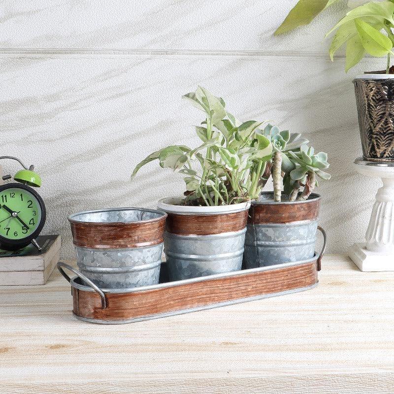 Sinora Sila Planter - Set Of Four media 3