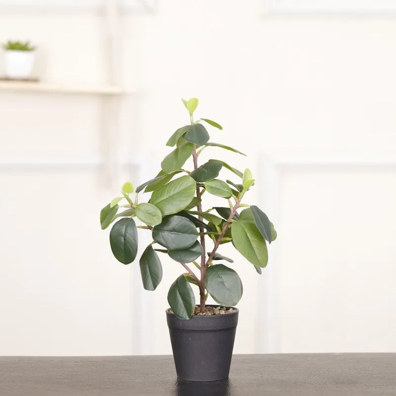 Artificial Dark Green Natural Looking Quercus Leaf Plant With Black Fiber Pot - 1.2 Feet media 3