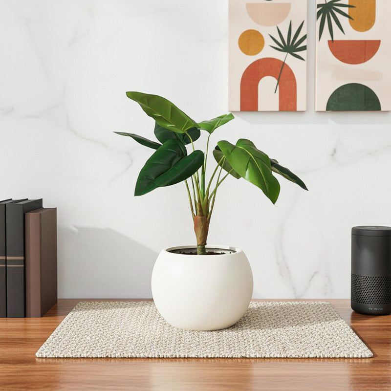 TeraVine Alocasia Artificial Plant With Black Plastic Pot - 2.4 Feet