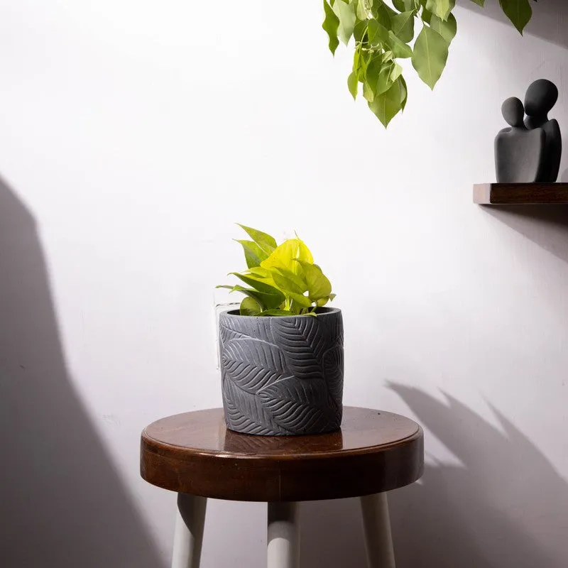 Leaf Print Planter - Grey media 2