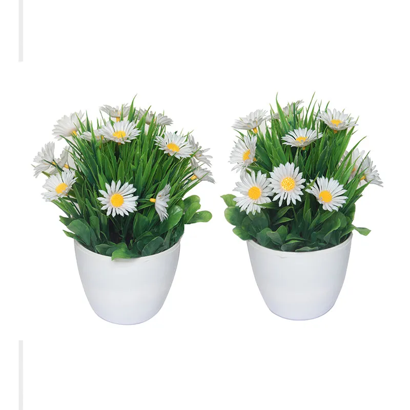 Faux White Daisy Plant With Black Plastic Pot - Set Of Two media 3
