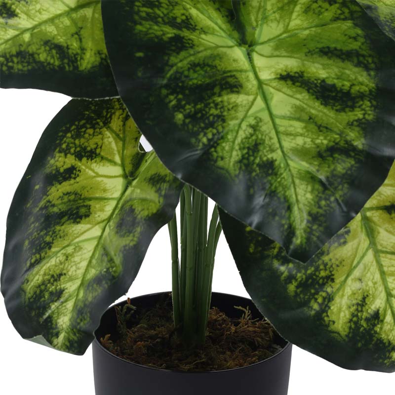 Faux Lush Aldo Monstera Plant With Black Plastic Pot - 1.8 Feet media 5