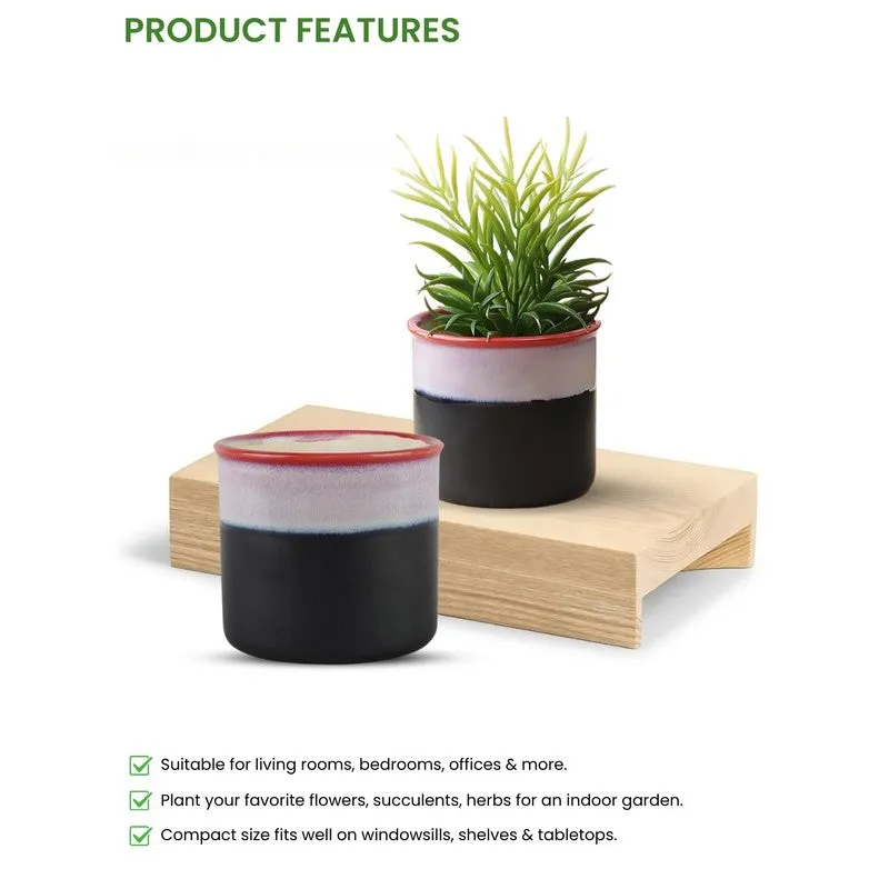 LuxeBloom Planter Collection - Set Of Two media 6
